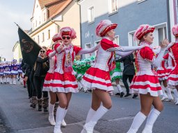 Faschingszug Pressath 2025_60